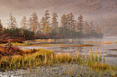 Foggy morning at the lake, Magadan region, Russia