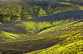 Tundra, Tungnarfjoll Berge und Fogrufjoll Berge, Island