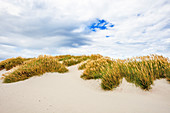 Sanddünen und Gras, Sealion Island, Falkland Islands