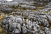 Kalksteinfelsformationen, Schnee-Berge, Papua, Indonesien