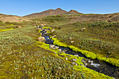 Bach in der Tundra, Vatnajokull Nationalpark, Island
