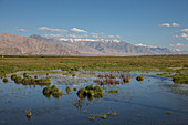 Gebirgslandschaft in Taschkorgan, China, Asien