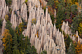 Felsformationen, Erdpyramiden, Ritten, Alpen, Italien