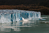 Perito Moreno Glacier, Nationalpark Los Glaciares, Patagonia, Argentinien kalbt