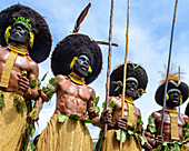 Männer des Lyain-Stammes bei Auftritten, Enga Show, Wabag, Western Highlands, Papua-Neuguinea