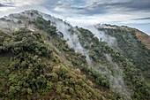 Bewaldete Hügel im Nebel, Ngong Hills, Kenia