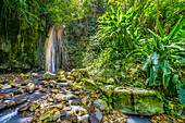 Diamond Falls, Soufriere, St. Lucia, Karibik