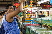 Live seafood for sale at the indoor Banzaan food market in Patong, Phuket, Thailand, Southeast Asia, Asia