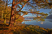 Low Brandelhow-Landeplatz auf Derwentwater im Lake District Nationalpark, UNESCO-Weltkulturerbe, Cumbria, England, Großbritannien, Europa