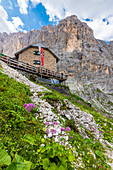 Die Langkofelhütte am Ende der Langkofelscharte, St. Christina in Gröden, Dolomiten, Südtirol, Alto Adige, Italien