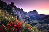 Sunset on the Gardena Pass with Sella Langkofel, Dolomites, South Tyrol, Italy