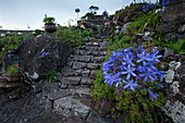 Kopfsteinpflaster Stufen vor dem Haus, Cuada Dorf, Flores, Portugal
