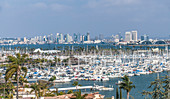 City skyline overlooking harbor, San Diego, California, United States