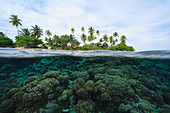 Riff in tropischem Wasser, Bora Bora, Französisch-Polynesien