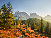 View from Lahngangkogel, Kalbling, Sparafeld, Reichenstein, Ennstal Alps, Styria, Austria