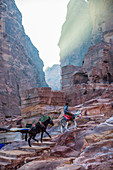 Die Felsenstadt Petra in Jordanien, Mann mit Esel