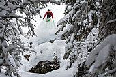 Skifahrer im Sprung durch einen verschneiten Wald, Hochzillertal, Tirol, Österreich