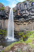 Svartifoss waterfall with basalt columns, Skaftafell National Park, Eastern Iceland, Iceland, Europe