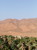 Oase in der Wüste, Südmarokko