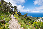 Wanderer am Monte Solaro mit Blick auf Anacapri,Insel Capri,Golf von Neapel, Italien