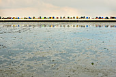 Strandkörbe spiegeln sich im Wattenmeer, Norden, Ostfriesland, Deutschland