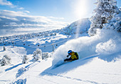 January, winter, skiing, skiing, deep snow, powder, Hochzillertal, Tyrol, winter sports, masses of snow