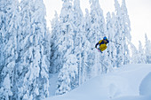 January, winter, skiing, skiing, deep snow, powder, Hochzillertal, Tyrol, winter sports, masses of snow