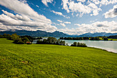 Forggensee, bei Füssen, Ostallgäu, Allgäu, Bayern, Deutschland