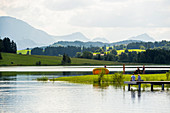 Forggensee, bei Füssen, Ostallgäu, Allgäu, Bayern, Deutschland