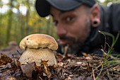 Mushroom picker looks at boletus in the Buchenhain deciduous forest from a low angle perspective, Germany, Brandenburg, Spreewald