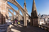 France, Aveyron, Rodez, the planetes of the cathedral dating from the 13th and 16th centuries