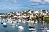 France, Finistere, Iroise Sea, Parc Naturel Regional d'Armorique (Armoric Regional Nature Park), Le Conquet