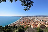 Promenade des Anglais und die Altstadt vom Burgberg, Nizza, Alpes Maritimes, Frankreich
