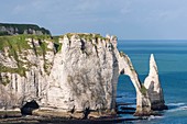 France, Seine Maritime, Pays de Caux, Alabaster Coast, Etretat, Aval cliff, Aval Arch and Needle