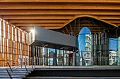 Frankreich, Isère, Grenoble, Stadtteil Bouchayer-Viallet, neuer Konzertsaal Belle Electrique von Herault Arnod Architects, eröffnet im Januar 2015