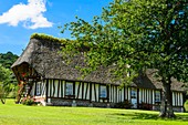 France, Eure, Marais Vernier region, Brotonne regional nature park, Vieux Port and its traditional houses on the banks of the Seine river