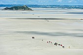 France, Manche, Mont Saint Michel bay, listed as World Heritage by UNESCO, crossing the bay by foot with a guide