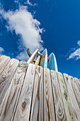 Surfboards behind a wooden wall, Fort Myers Beach, Florida, USA