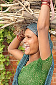 2015, Radhakund, Vrindavan, Uttar Pradesh, India, villager carrying wood