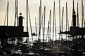 View with sunrise of the sea with harbor sailing boats and lighthouses, Bastia, Northern Corsica, France