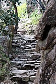 Steinstufen am Sentier de la Spilonca bei Ota im Bergland zwischen Evisa und Porto, West- Korsika, Frankreich