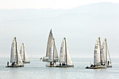 Sailing regatta at the painting corner, Langenargen, Lake Constance, Baden-Württemberg, Germany