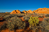 Gelbe Felsen im Sonnenuntergang im Valley of Fire, USA\n