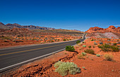 Straße durch die Wüste im Valley of Fire, USA\n