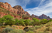 Red mountains with green vegetation in Zion National Park, USA