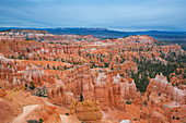 Rock towers hoodos in Bryce Canyon National Park, USA