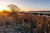 Sunrise at Friedeburger Tief, Altgödens, Sande, Friesland, Lower Saxony, Germany, Europe