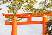 Torii gate at Heian Jingu Shinto shrine, Kyoto, Japan, Asia
