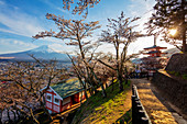 Chureito-Pagode im Arakurayama Sengen Park, Fujiyoshida, Präfektur Yamanashi, Honshu, Japan, Asien