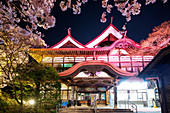 Cherry blossom at Takato Castle, Takato, Nagano Prefecture, Honshu, Japan, Asia
